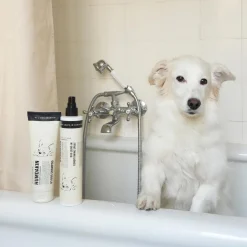 Balsamspray for hund