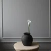Calla Lily blomst, hvit