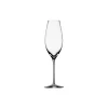 Difference sparkling champagneglass