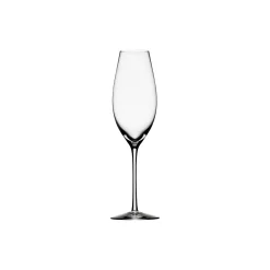 Difference sparkling champagneglass