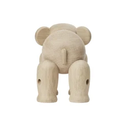 Elefant stor eik
