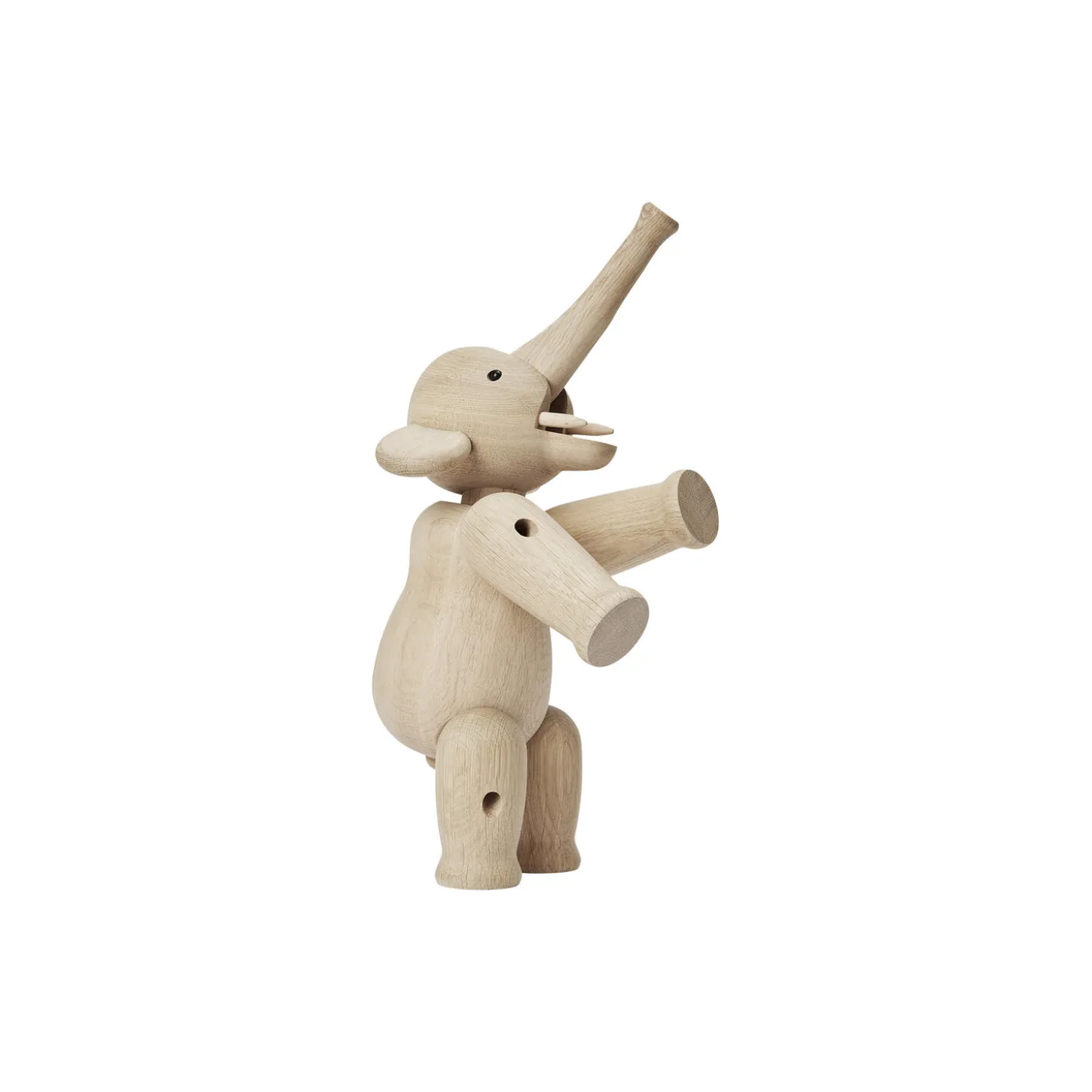 Elefant stor eik