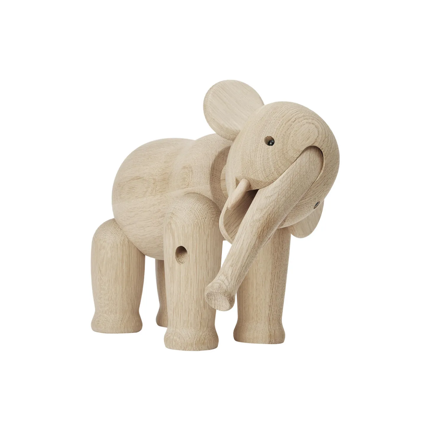 Elefant stor eik