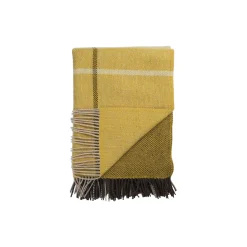 Filos Pledd, Yellow