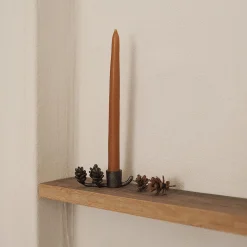 Forest lysestake, black brass
