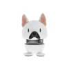 French bulldog, white