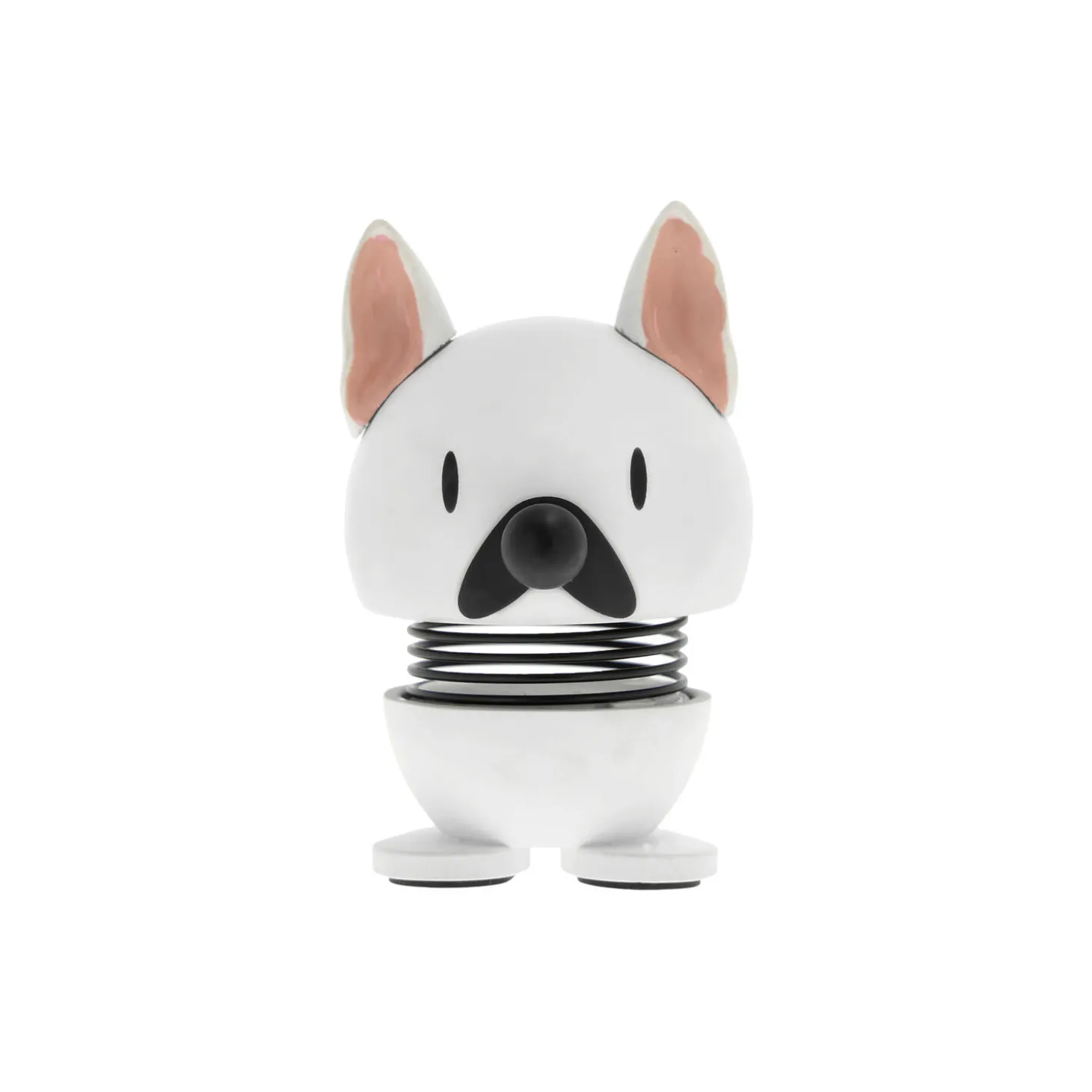 French bulldog, white