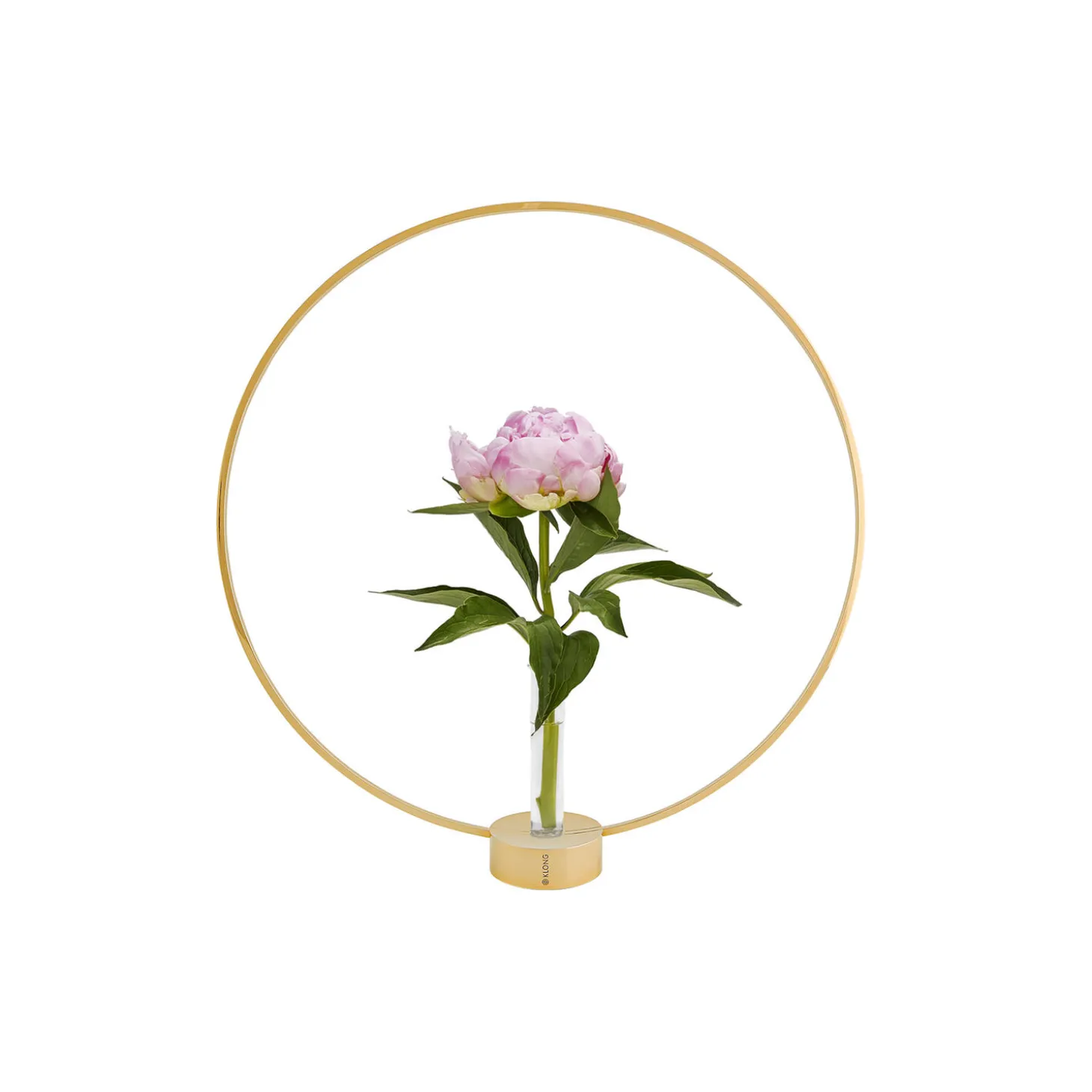 Gloria lysestake, stor
