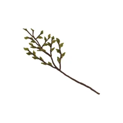 Gren med blader, grønn