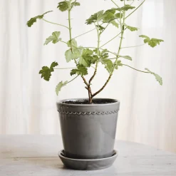 Helena GLAZED potte med underfat, pearl grey