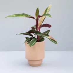 Hoff GLAZED Ø 21 cm potte, quartz rose