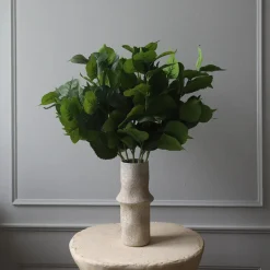 Hydrangea blader, grønn