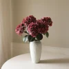 Hydrangea blomst, burgunder