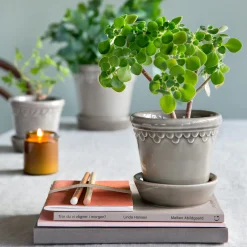 Københavner GLAZED krukke med underfat, pearl grey