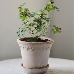 Københavner RAW Ø 30 cm potte, rosa