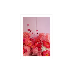 Kirsebærblomst 1