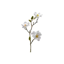 MAGNOLIA OLIS X3 GREN , hvit