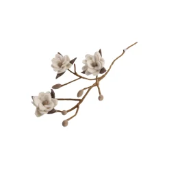 Magnoliagren med blomster, hvit