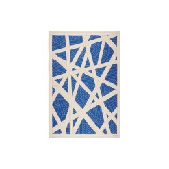 NASTRI pledd, 501