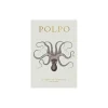Polpo