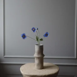 Poppy blomst, blå