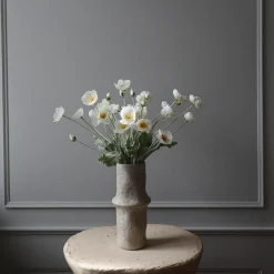 Poppy blomst, hvit