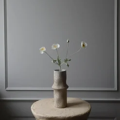 Poppy blomst, hvit