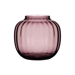 Primula vase, plomme