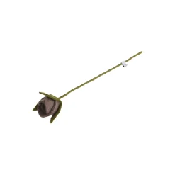 Rose, lys lavendel
