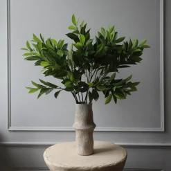 Ruscus blader, grønn