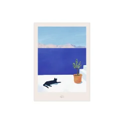 Siesta - Svart katt 2