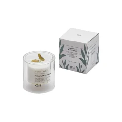 SILHUETTLYS MED DUFT, pineapple & coconut
