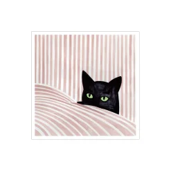 Svart katt