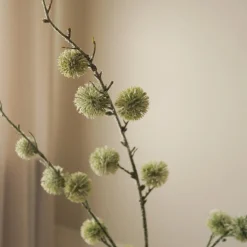 ThistleBallBranch, grønn