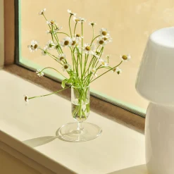 Tiny vase, clear