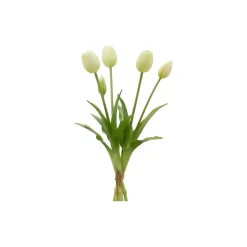 Tulipan bukett 5 stk, champagne