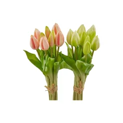 Tulipan bukett 9 stk, green pink