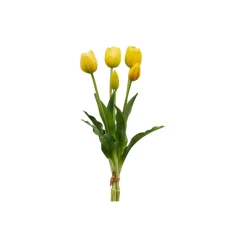 Tulipan bukett 5 stk, yellow