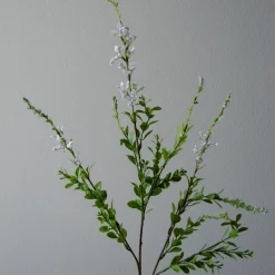 Wild blomst, hvit